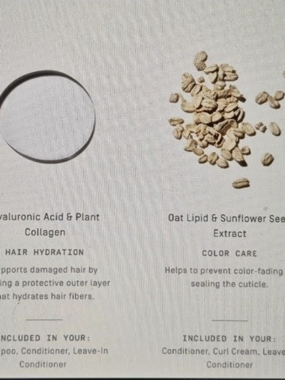 Prose Custom Shampoo - Picture 4 of 4